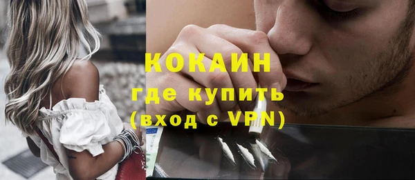 индика Горно-Алтайск