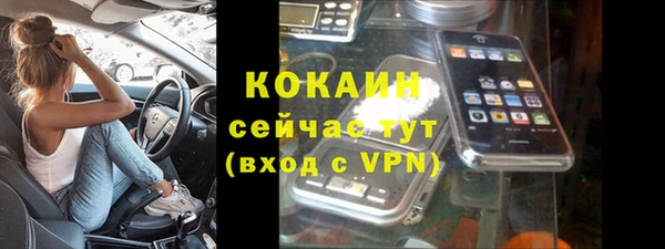 индика Горно-Алтайск