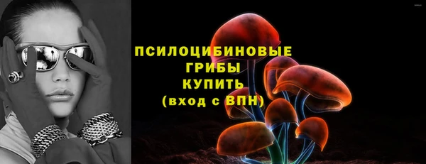 индика Горно-Алтайск