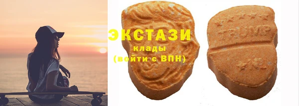 индика Горно-Алтайск