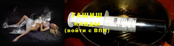 индика Горно-Алтайск