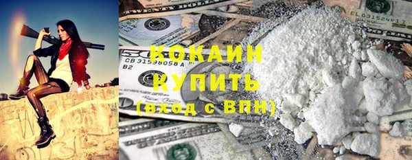 индика Горно-Алтайск
