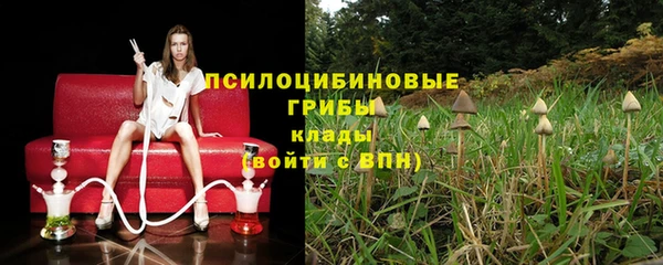 mdma Горнозаводск