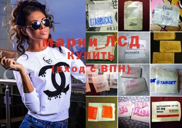 индика Горно-Алтайск