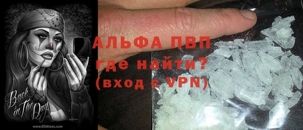 индика Горно-Алтайск
