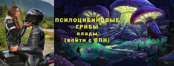прущая мука Горняк
