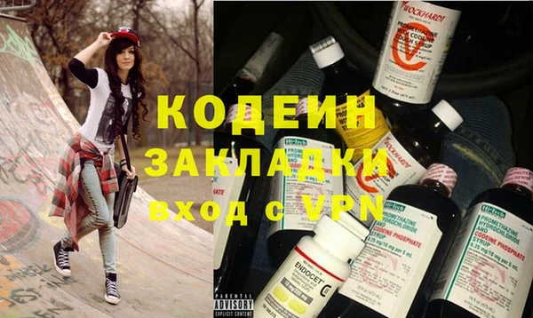 индика Горно-Алтайск