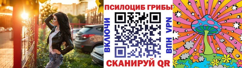 Купить закладки  Уварово  Галлюциногенные грибы MAGIC MUSHROOMS 